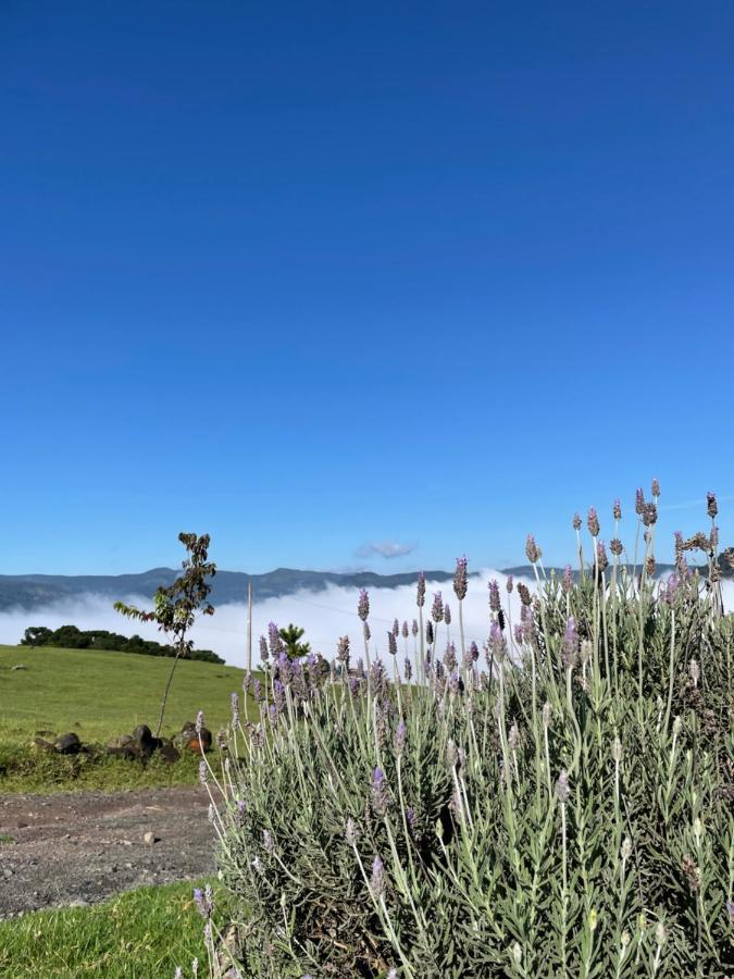 Pousada Colina Dos Ventos - Cabana Alpha Urubici Exteriér fotografie